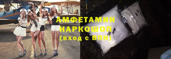 индика Ладушкин