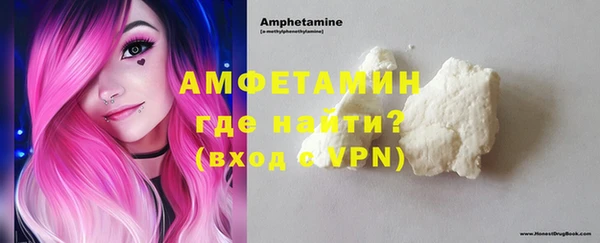 индика Ладушкин
