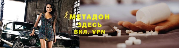 индика Ладушкин
