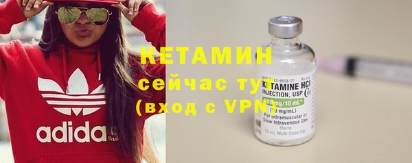 индика Ладушкин