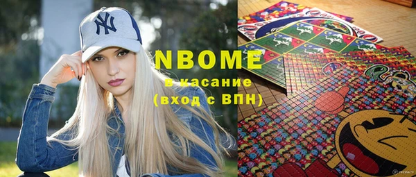 индика Ладушкин