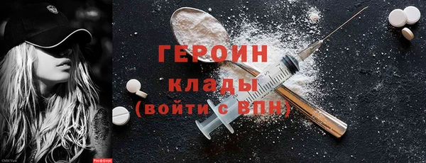индика Ладушкин