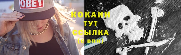 индика Ладушкин