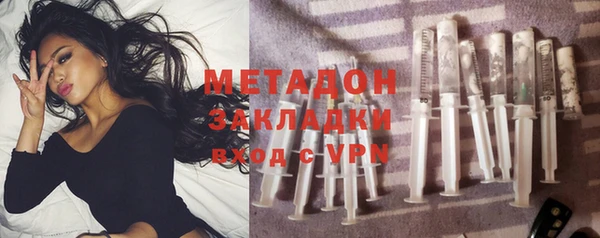 индика Ладушкин